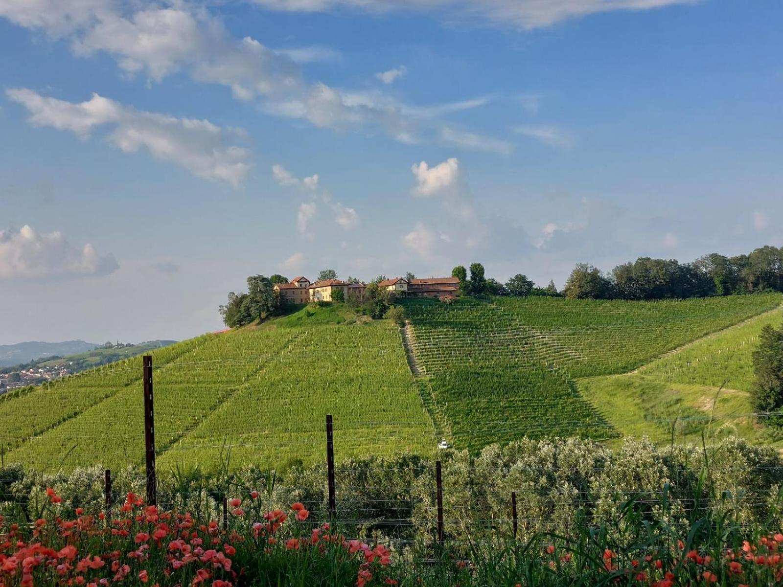 Tenuta Montanello B&B Castiglione Falletto Exterior photo