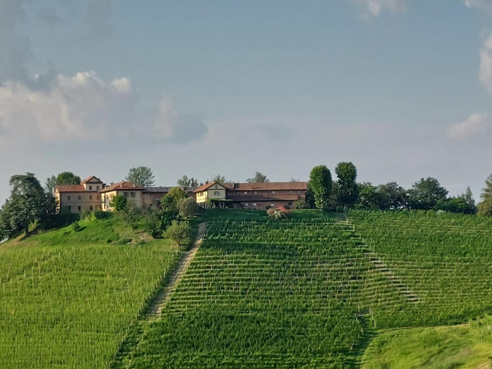 Tenuta Montanello B&B Castiglione Falletto Exterior photo