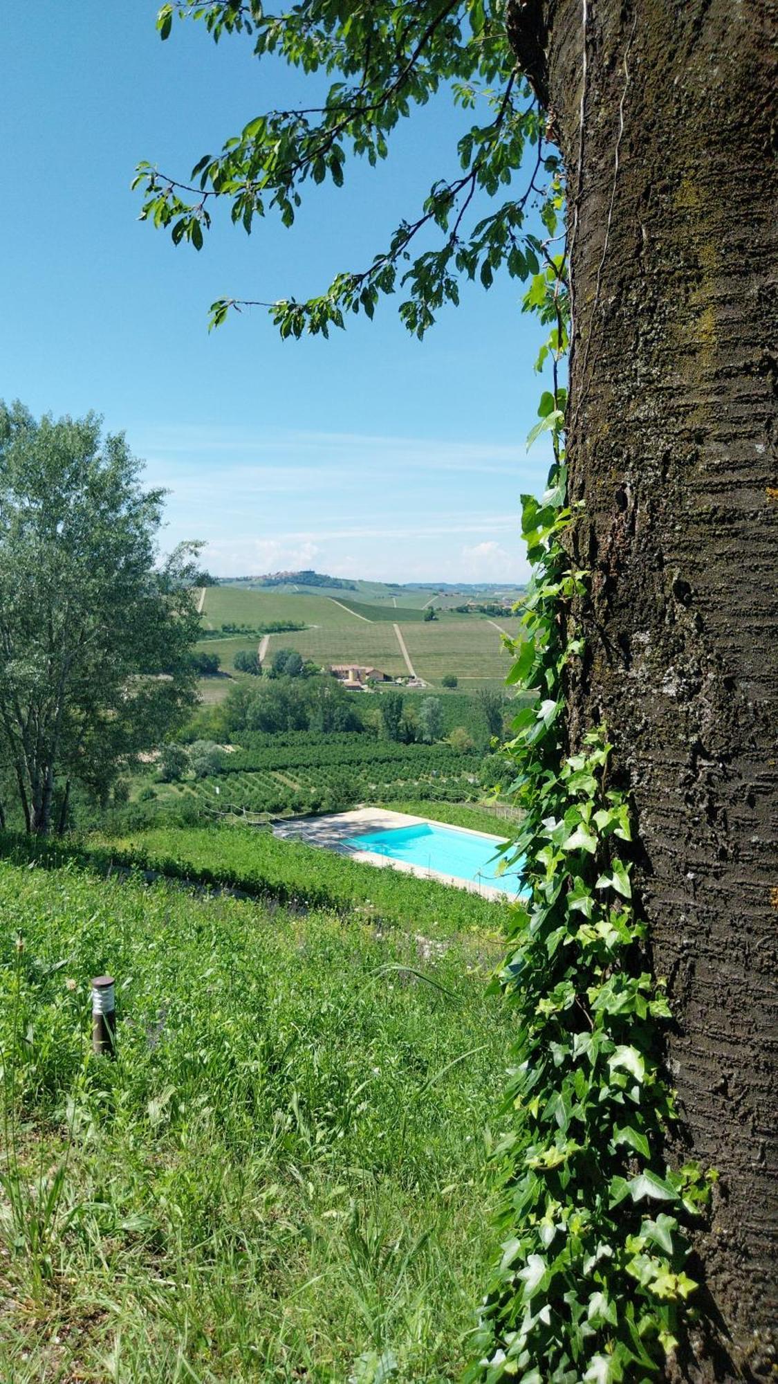 Tenuta Montanello B&B Castiglione Falletto Exterior photo