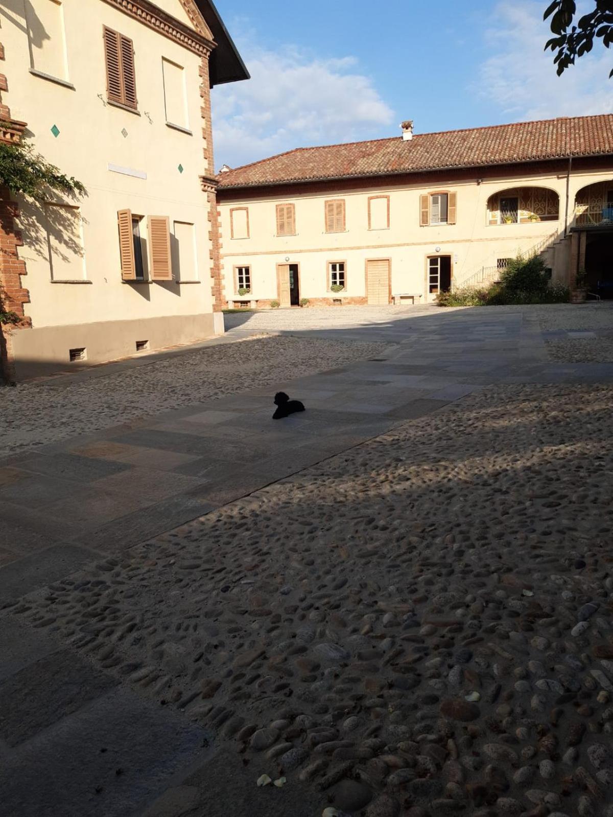 Tenuta Montanello B&B Castiglione Falletto Exterior photo