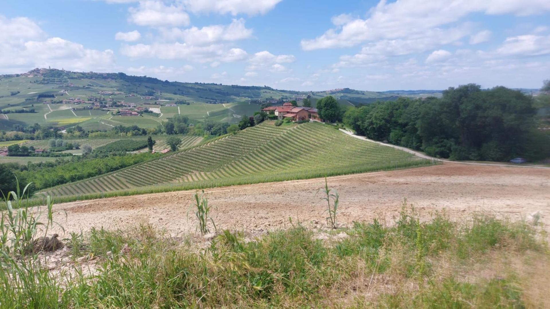 Tenuta Montanello B&B Castiglione Falletto Exterior photo